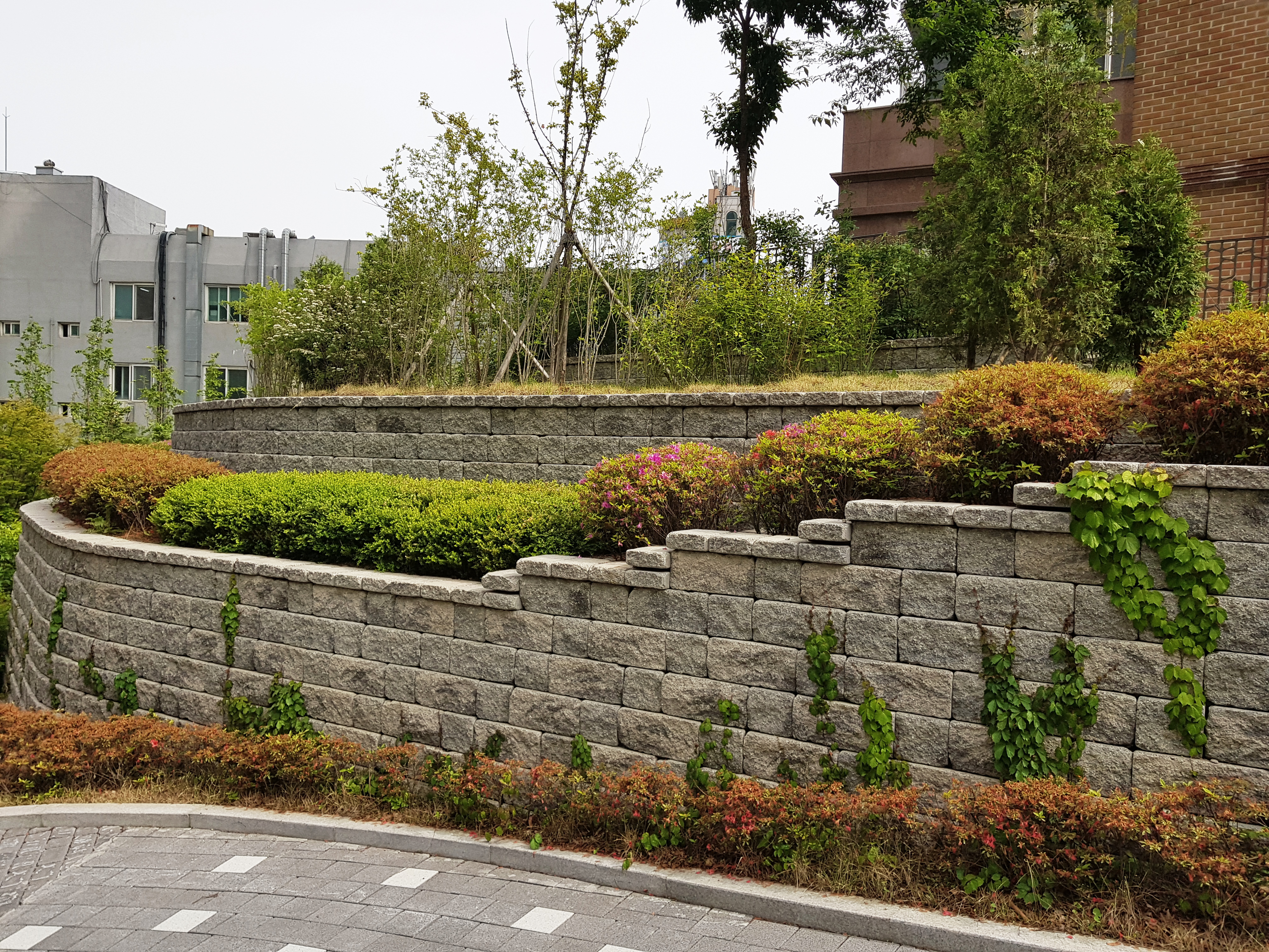 상도자이(1).jpg